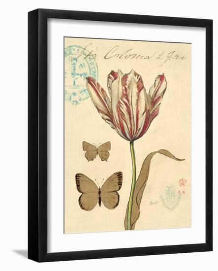 Nature's Curiosities 7-Chad Barrett-Framed Art Print