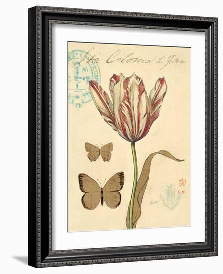 Nature's Curiosities 7-Chad Barrett-Framed Art Print