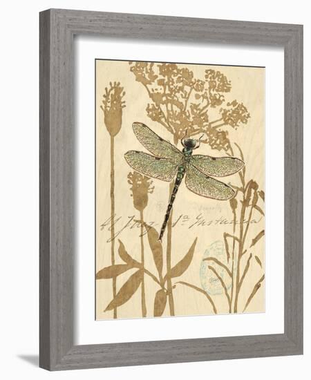 Nature's Curiosities 8-Chad Barrett-Framed Art Print