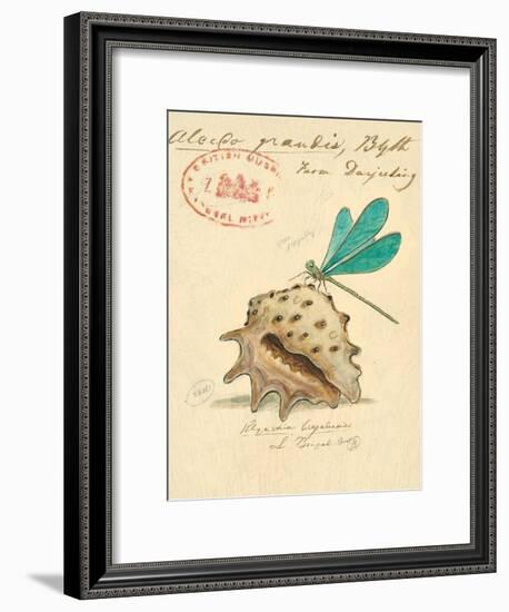 Nature's Curiosities 9-Chad Barrett-Framed Art Print