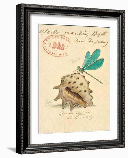 Nature's Curiosities 9-Chad Barrett-Framed Art Print