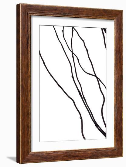 Nature's Dance I-Monika Burkhart-Framed Photographic Print