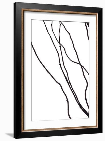 Nature's Dance I-Monika Burkhart-Framed Photographic Print