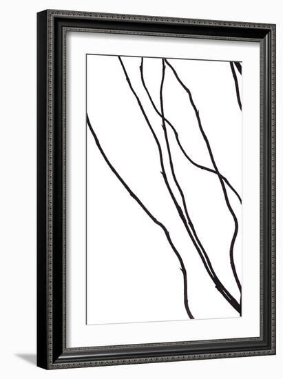 Nature's Dance I-Monika Burkhart-Framed Photographic Print