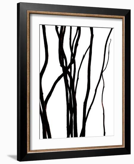 Nature's Dance IV-Monika Burkhart-Framed Photographic Print