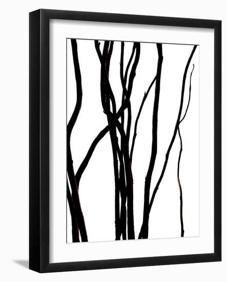 Nature's Dance IV-Monika Burkhart-Framed Photographic Print