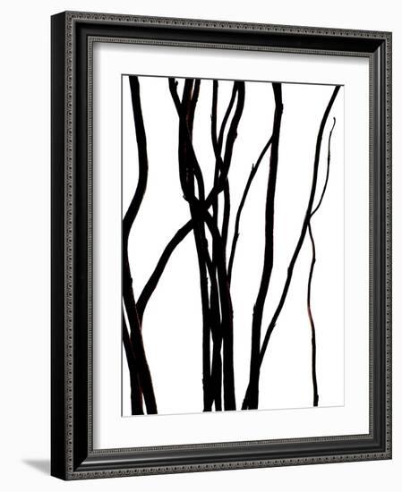 Nature's Dance IV-Monika Burkhart-Framed Photographic Print