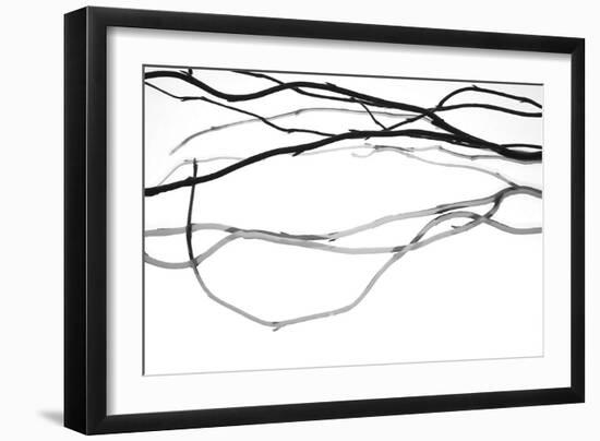 Nature's Dance IX-Monika Burkhart-Framed Photographic Print