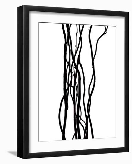 Nature's Dance V-Monika Burkhart-Framed Photographic Print