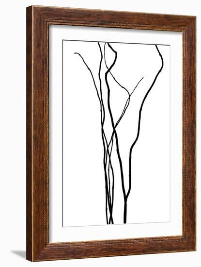 Nature's Dance VI-Monika Burkhart-Framed Photographic Print