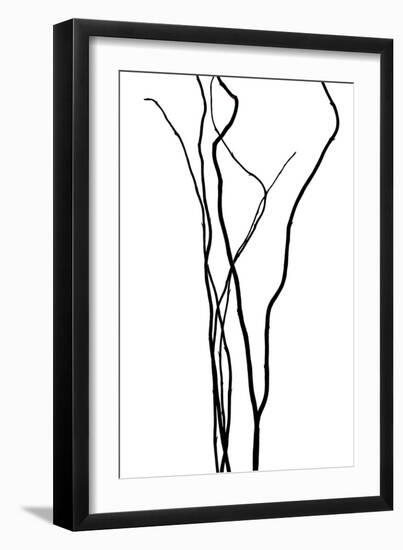 Nature's Dance VI-Monika Burkhart-Framed Photographic Print