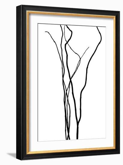 Nature's Dance VI-Monika Burkhart-Framed Photographic Print