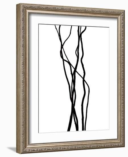 Nature's Dance VII-Monika Burkhart-Framed Photographic Print