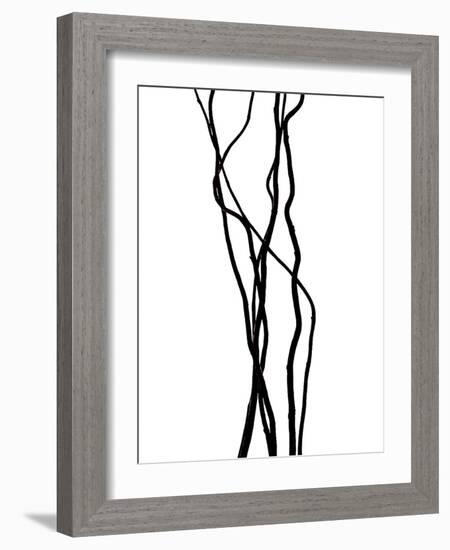 Nature's Dance VII-Monika Burkhart-Framed Photographic Print