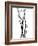 Nature's Dance VII-Monika Burkhart-Framed Photographic Print