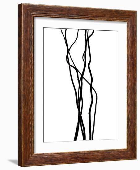 Nature's Dance VII-Monika Burkhart-Framed Photographic Print