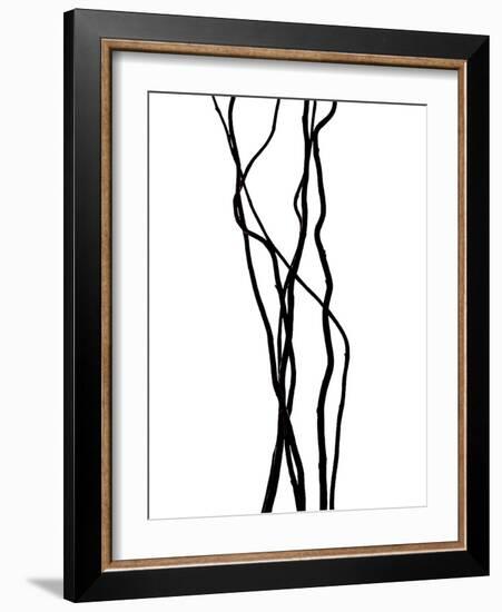 Nature's Dance VII-Monika Burkhart-Framed Photographic Print