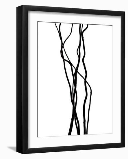 Nature's Dance VII-Monika Burkhart-Framed Photographic Print