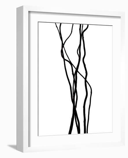 Nature's Dance VII-Monika Burkhart-Framed Photographic Print