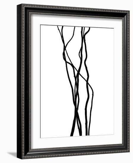 Nature's Dance VII-Monika Burkhart-Framed Photographic Print