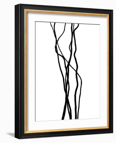 Nature's Dance VII-Monika Burkhart-Framed Photographic Print