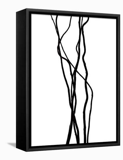 Nature's Dance VII-Monika Burkhart-Framed Premier Image Canvas