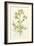 Nature's Elegance IV-J.j. Plenck-Framed Premium Giclee Print