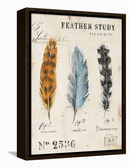 Nature's Feathers-Angela Staehling-Framed Stretched Canvas