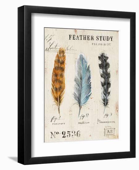 Nature's Feathers-Angela Staehling-Framed Art Print