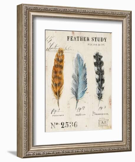 Nature's Feathers-Angela Staehling-Framed Premium Giclee Print