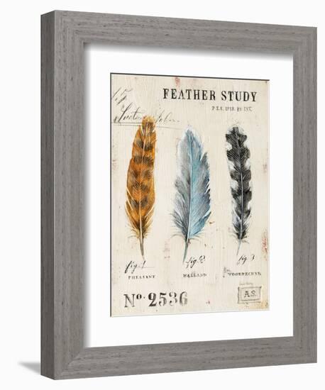 Nature's Feathers-Angela Staehling-Framed Premium Giclee Print