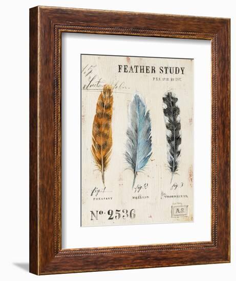 Nature's Feathers-Angela Staehling-Framed Premium Giclee Print