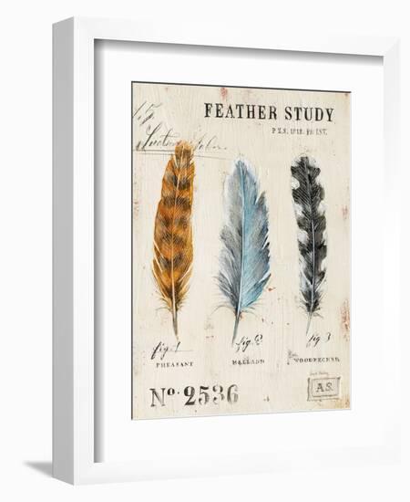 Nature's Feathers-Angela Staehling-Framed Premium Giclee Print