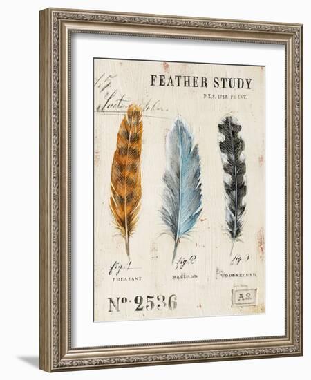 Nature's Feathers-Angela Staehling-Framed Art Print