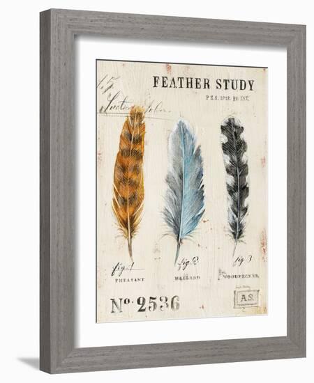 Nature's Feathers-Angela Staehling-Framed Art Print