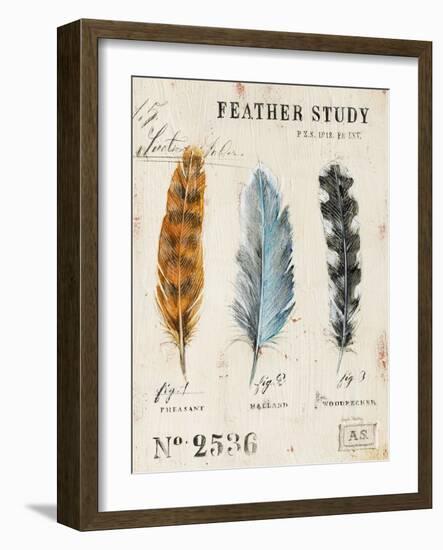 Nature's Feathers-Angela Staehling-Framed Art Print