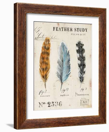 Nature's Feathers-Angela Staehling-Framed Art Print