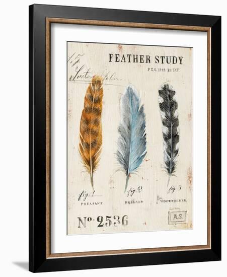 Nature's Feathers-Angela Staehling-Framed Art Print