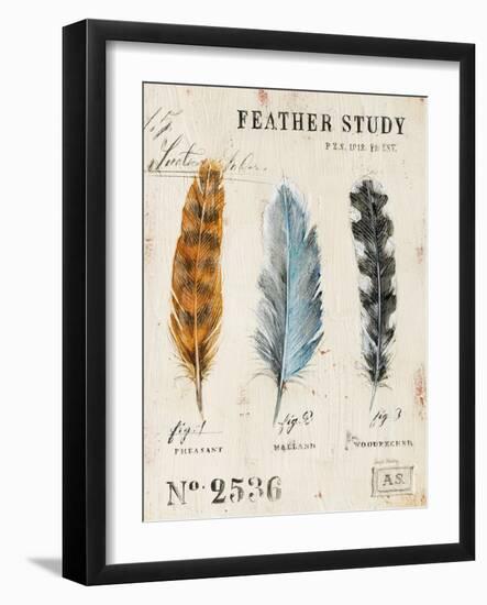 Nature's Feathers-Angela Staehling-Framed Art Print
