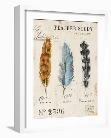 Nature's Feathers-Angela Staehling-Framed Art Print