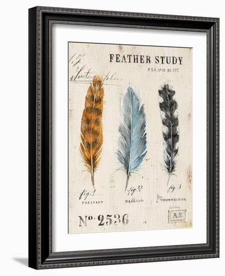 Nature's Feathers-Angela Staehling-Framed Art Print