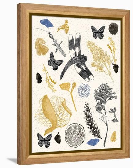 Nature's Field Guide Print-Cody Alice Moore-Framed Stretched Canvas