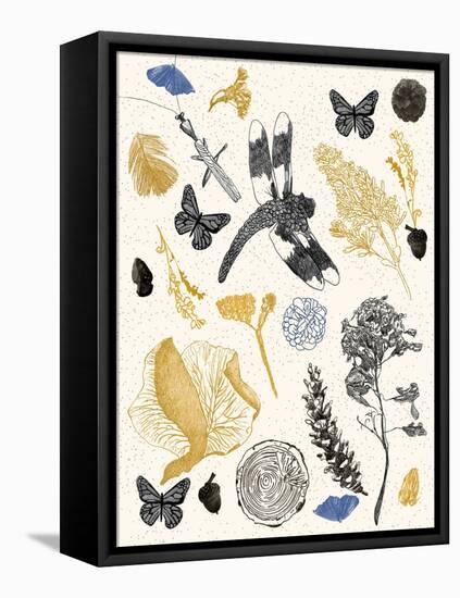 Nature's Field Guide Print-Cody Alice Moore-Framed Stretched Canvas