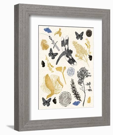 Nature's Field Guide Print-Cody Alice Moore-Framed Art Print