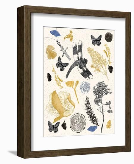 Nature's Field Guide Print-Cody Alice Moore-Framed Art Print