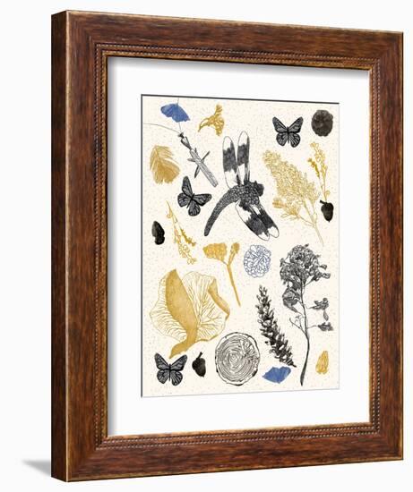 Nature's Field Guide Print-Cody Alice Moore-Framed Art Print