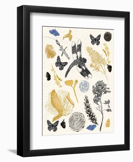 Nature's Field Guide Print-Cody Alice Moore-Framed Art Print