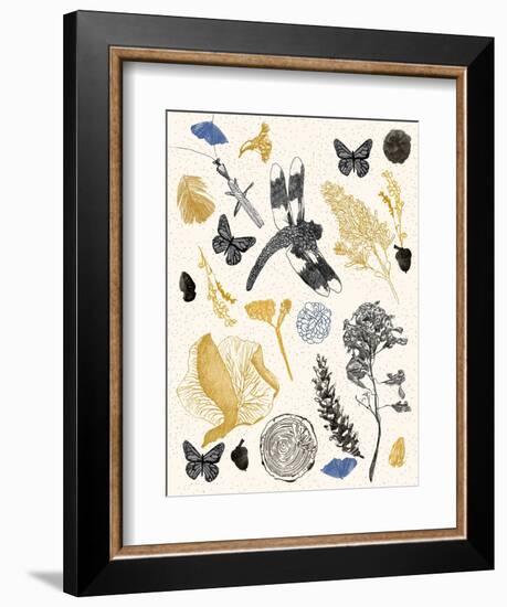 Nature's Field Guide Print-Cody Alice Moore-Framed Art Print
