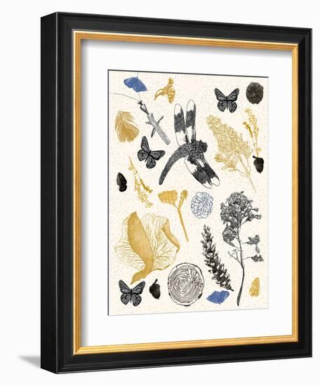 Nature's Field Guide Print-Cody Alice Moore-Framed Art Print