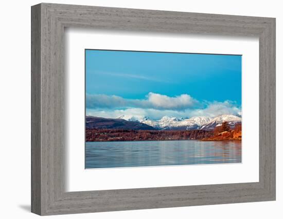 Nature’s Frost-Chuck Burdick-Framed Photographic Print